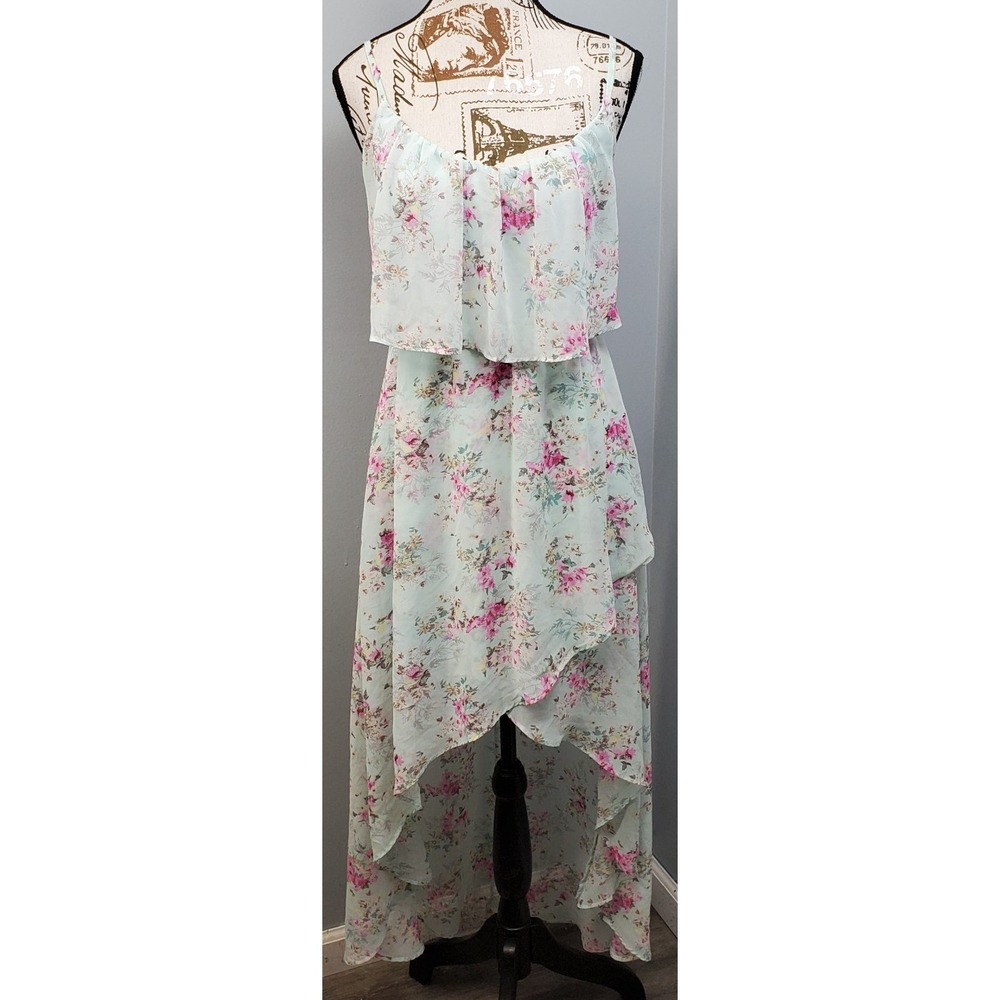 Disney Cinderella Chiffon Dress Womens XS Multicolor Floral Lined High-Low Hem